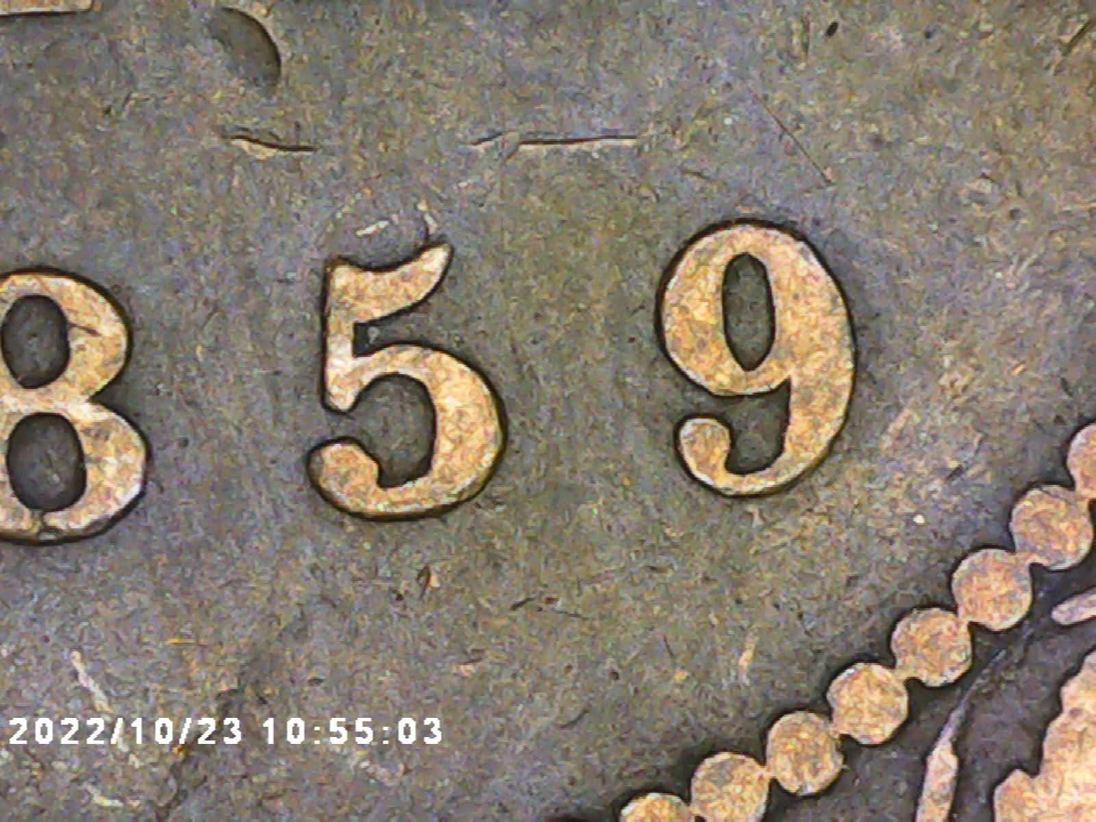 PICT0005.jpg