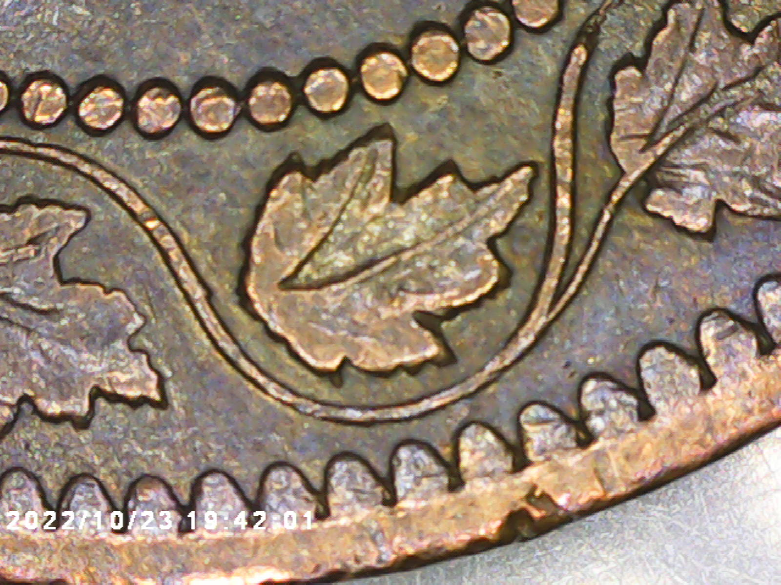 feuille-8.jpg