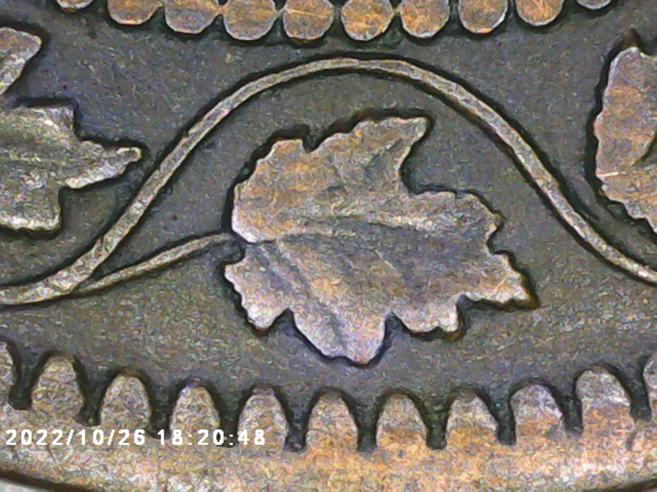 4-F#9.jpg