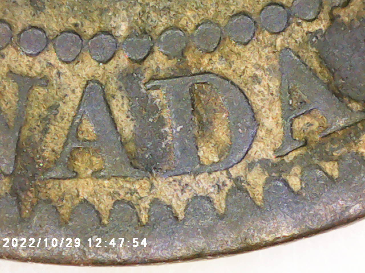D du CANADA.jpg