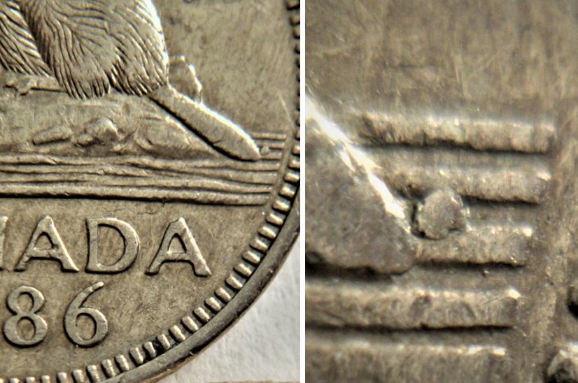 5 Cents 1986-Éclat coin au bout de la queue du castor,1.JPG