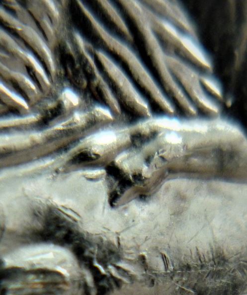 5 Cents 2008-Griffe additionnel-Éclat coin ..2.JPG