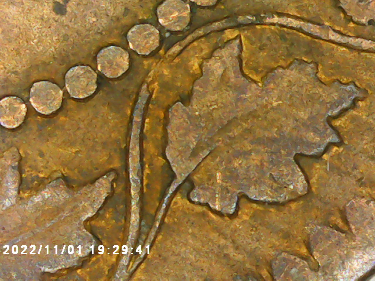feuille#7.jpg
