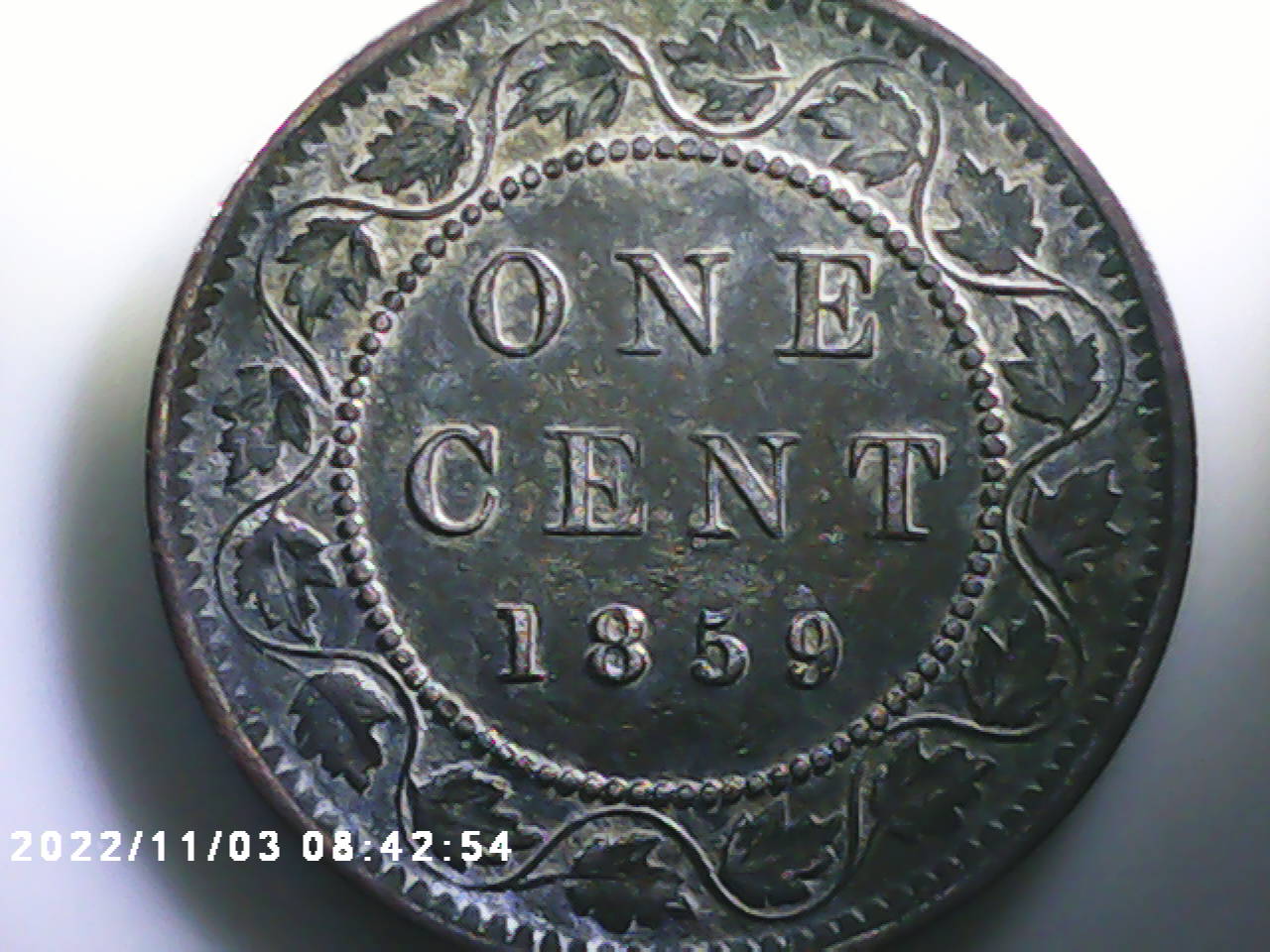 PICT0003.jpg