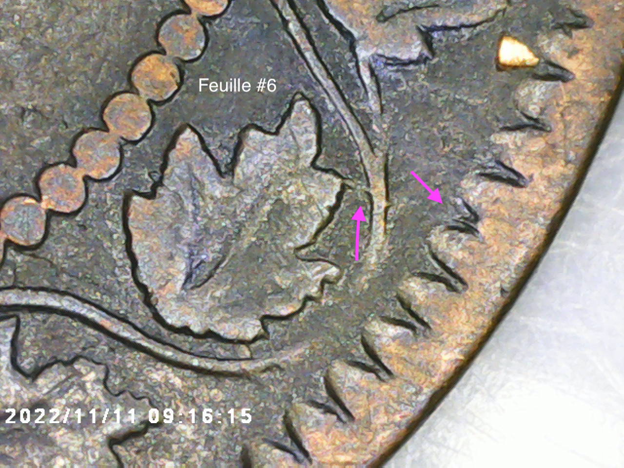 feuille #6.jpg