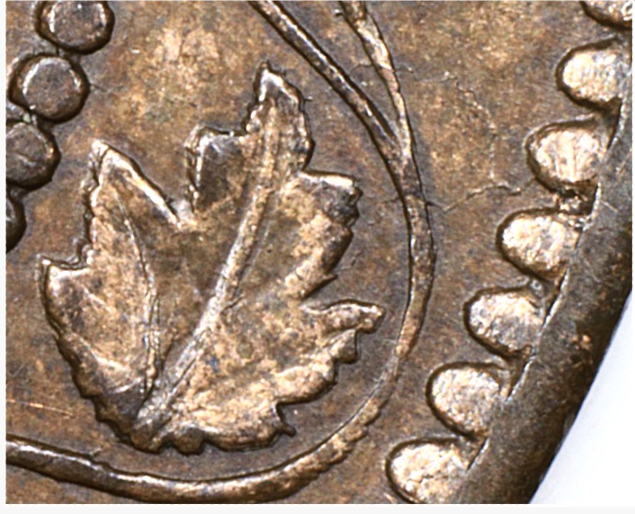 feuill6-E38C.jpg
