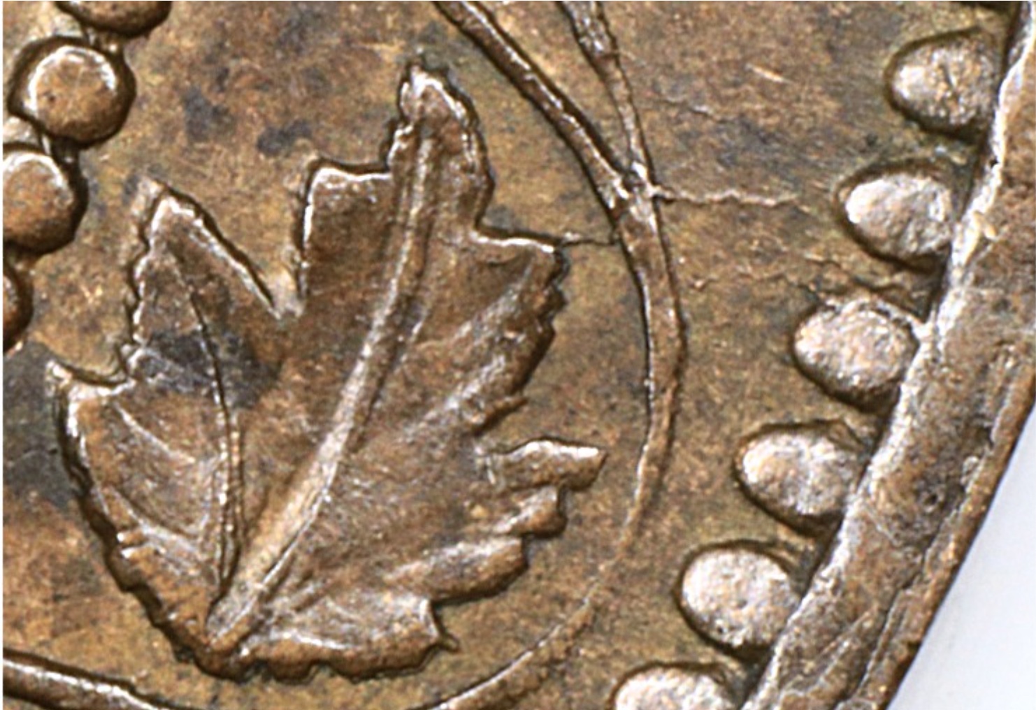 Feuille 6-F7.jpg