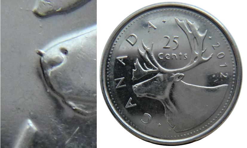 25 Cents 2012-Éclat du coin au bout du nez-1.JPG