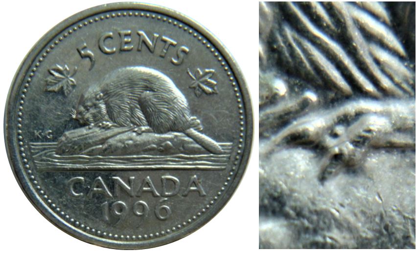 5 Cents 1996p-Éclat coin sur la patte arrière-1.JPG