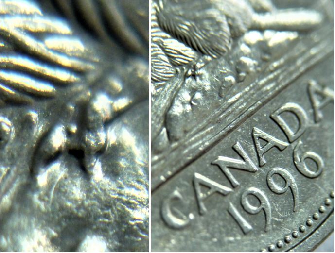 5 Cents 1996p-Éclat coin sur la patte arrière-2.JPG