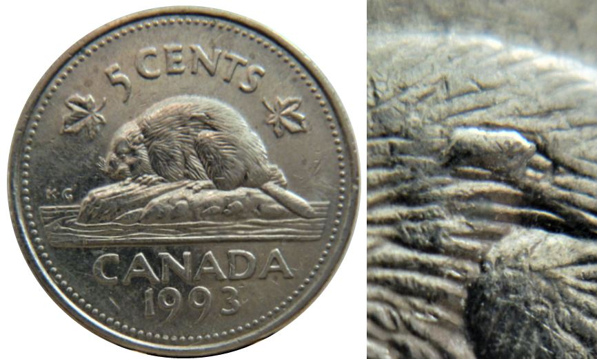 5 Cents 1993-Éclat coin sur dos du castor-1.JPG