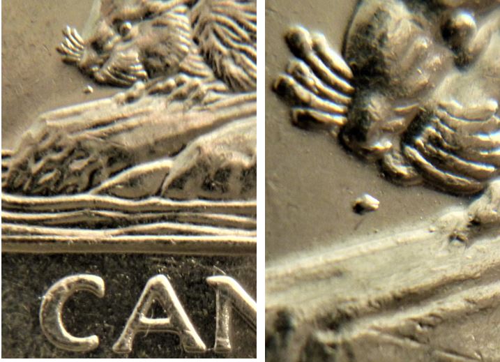5 Cents 2001-Point devant le nez du castor-2.JPG