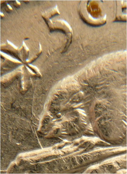 5 Cents 1947-Coin entrechoqué devant le castor-3.png