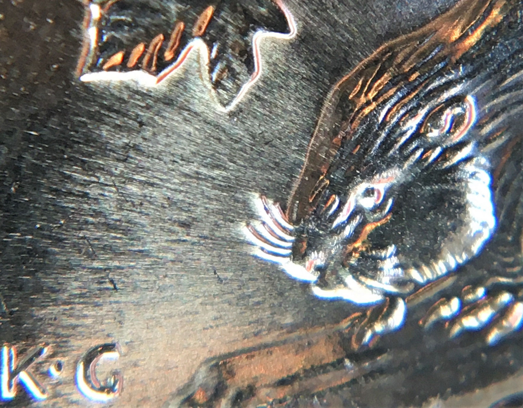 5 cents 1996 glowing castor.jpg