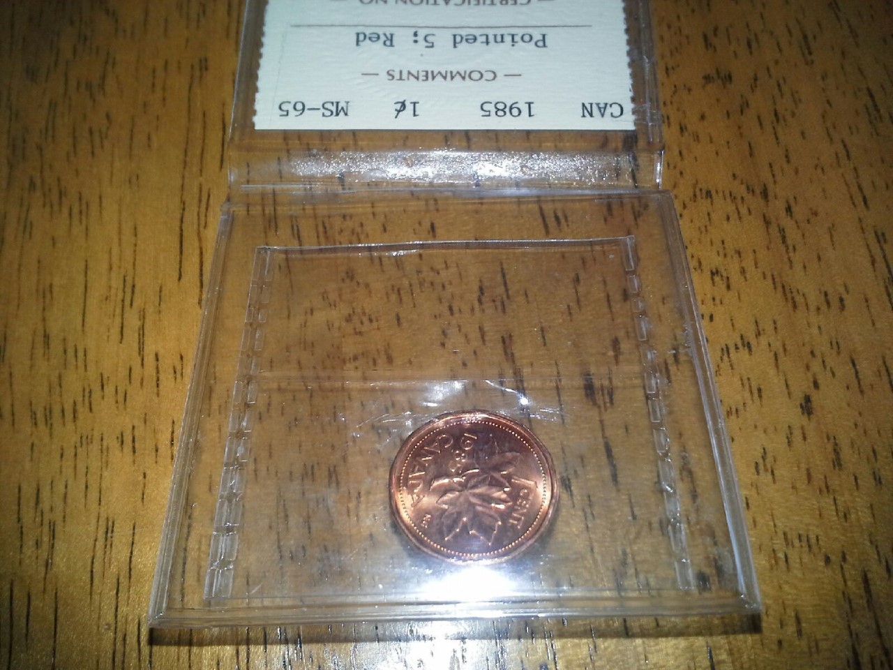 1985 PTD.jpg