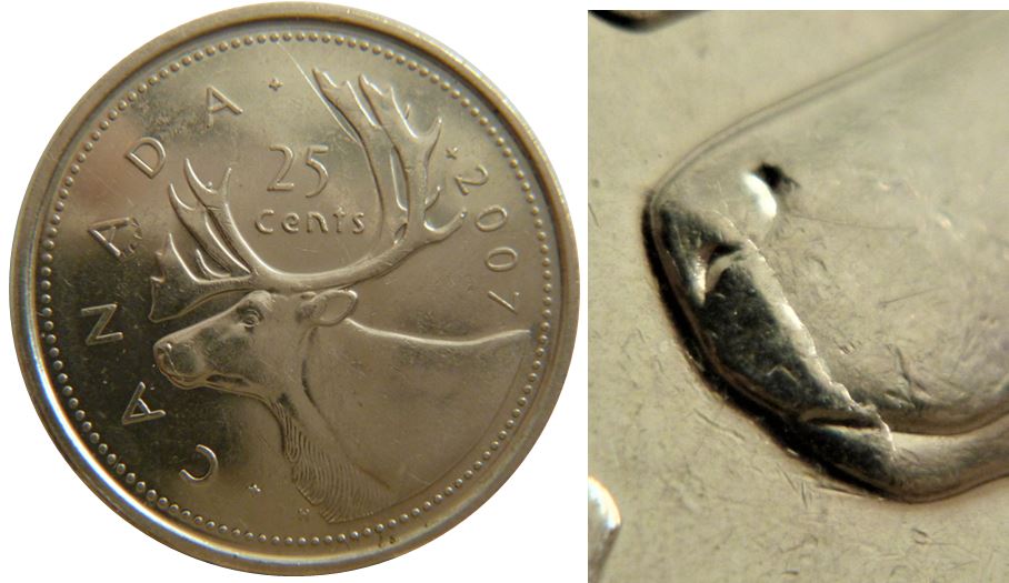 25 Cents 2007-Défaut de laminage sur le museau du caribou-2.JPG