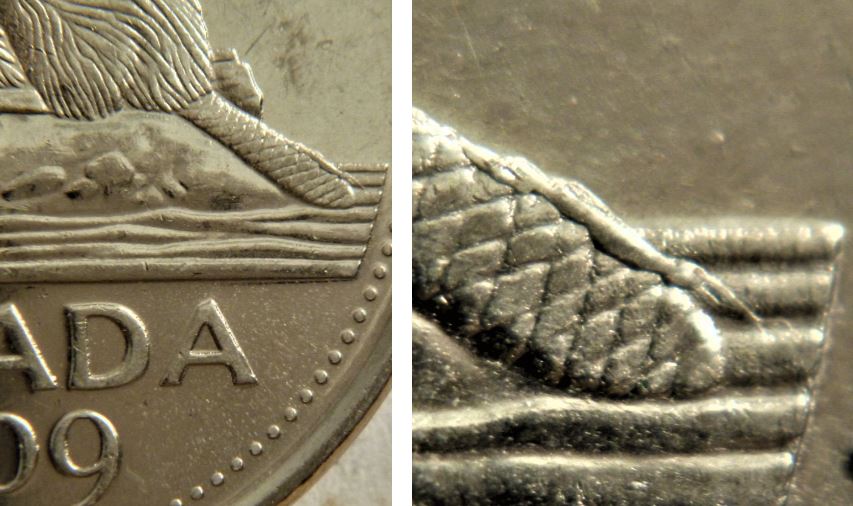 5 Cents 2009-Crevette sur la queue du castor-éclat coin-1.JPG