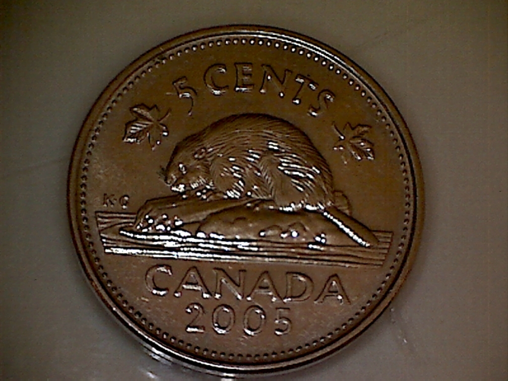2005P Éclat près du P B523055C Revers.jpg