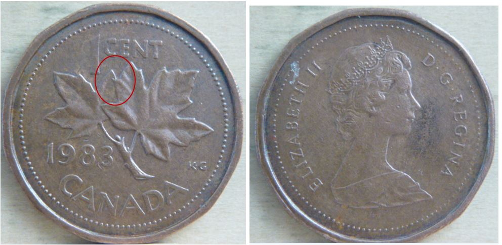 1 Cent-1983 -Éclat de coin au bout de la feuille gauche.1.JPG