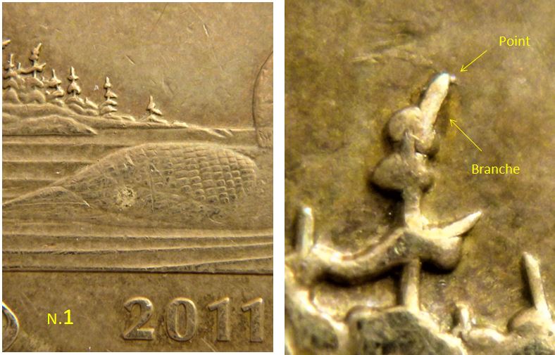 1 Dollar 2011-Avec branche et Branche coupé-N.1.JPG