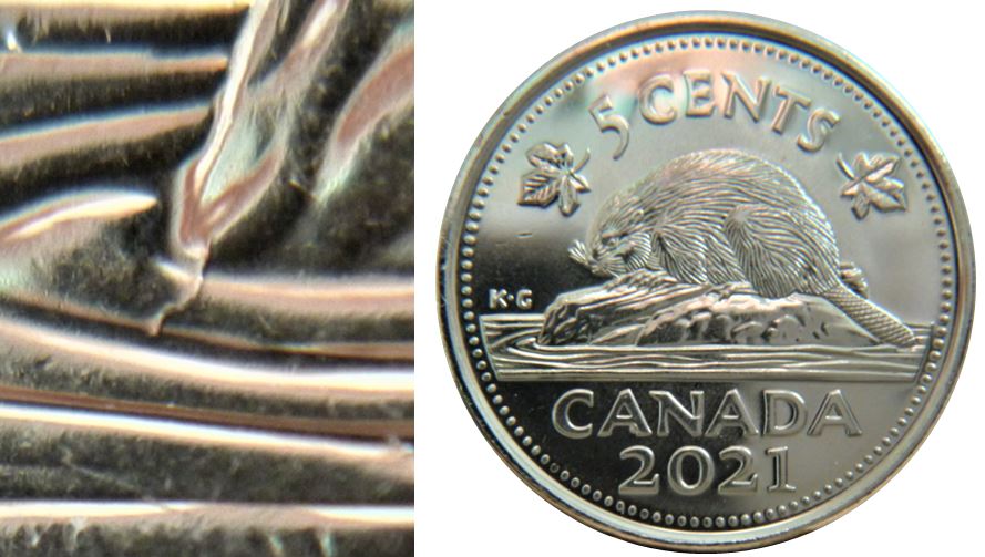 5 Cents 2021-Coin fendillé devant la buche-1.JPG