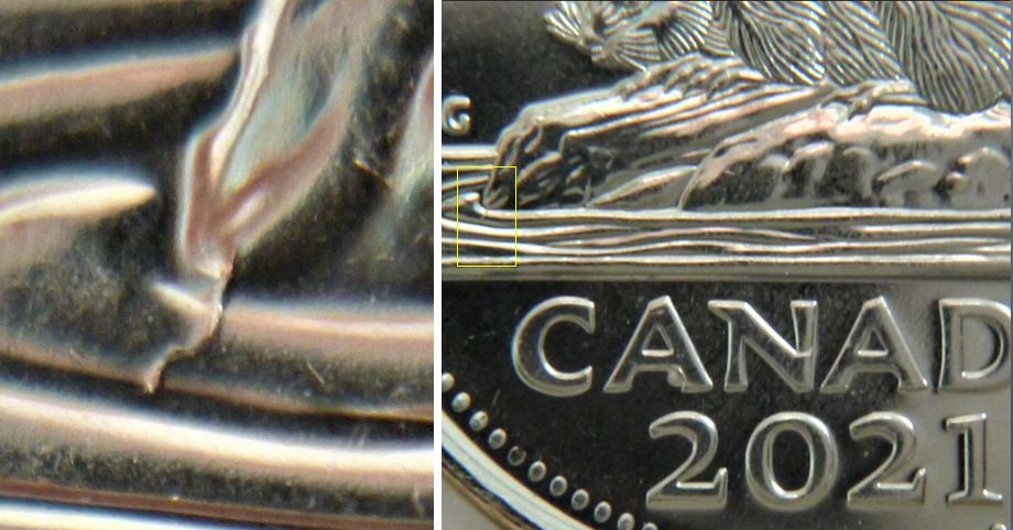 5 Cents 2021-Coin fendillé devant la buche-2.JPG