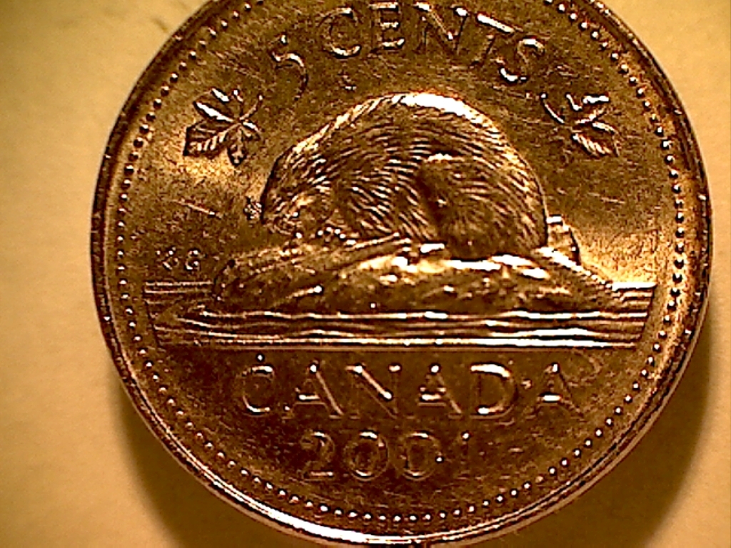 ,Acc. sur Canada,Pt. au-dessusT,K.G et C de Can., Acc. lettragge et surplus métal Avers B523131B Revers.jpg