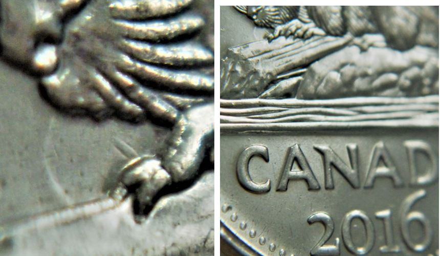 5 Cents 2016-Coin entrechoqué sous bouche du castor-1.,.JPG