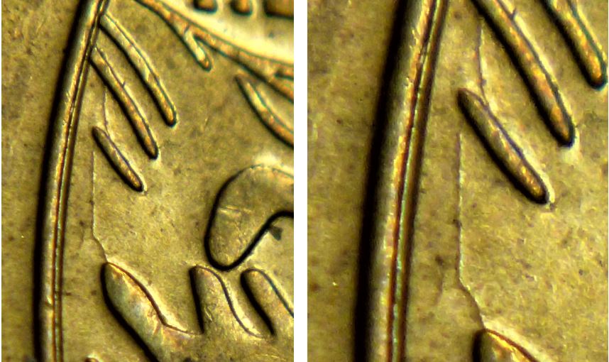 1 Dollar 2021 Klondike-Coin fendillé au dessus  bois du caribou-2.JPG