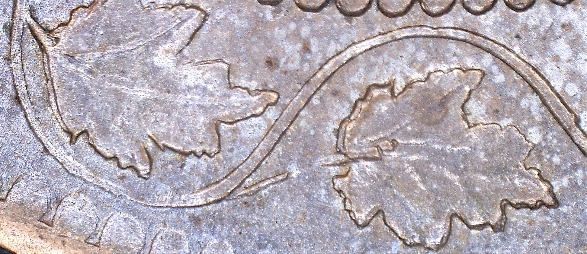 23628153029371.jpg
