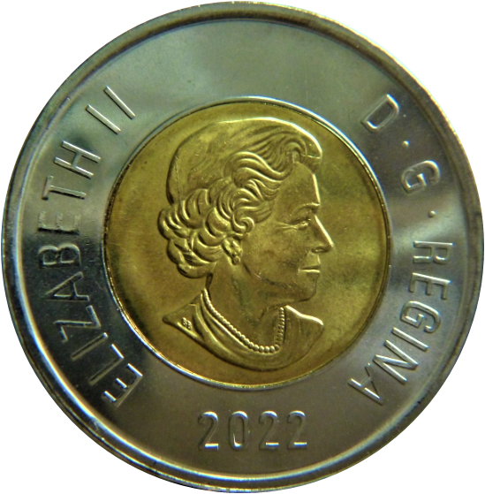 2 Dollar 2022-Coin fendillé sur l'effigie-1.png