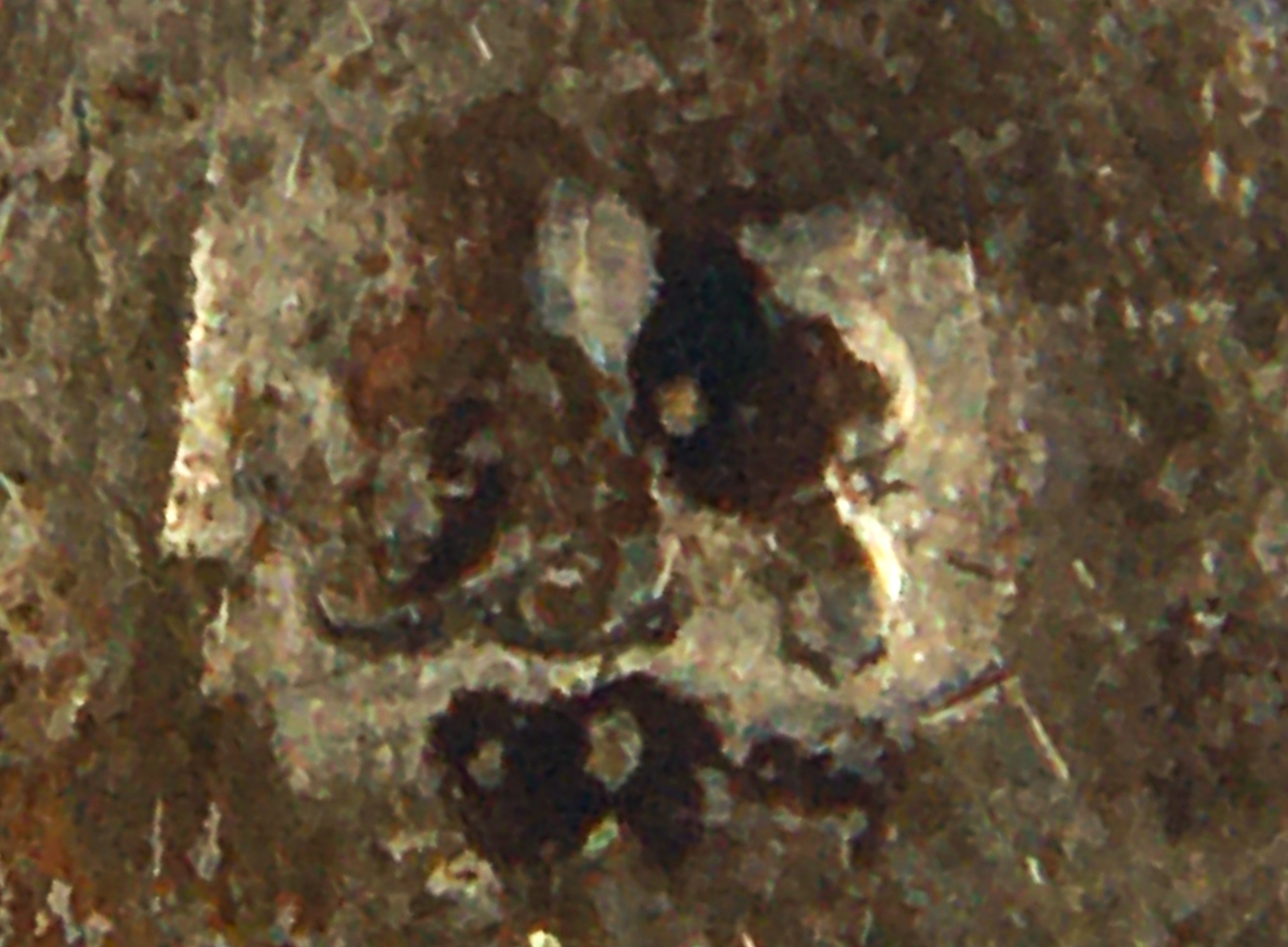 Love token lions.JPG