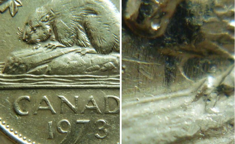 5 Cents 1973-Coin entrechoqué à la bouche du castor-2.JPG