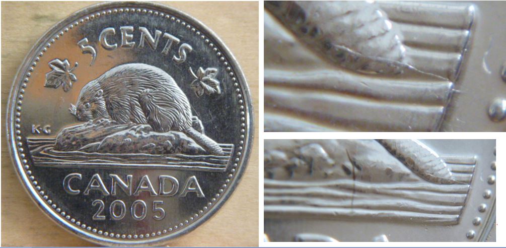 5 Cents 2005-Fendille a la queue du castor.JPG