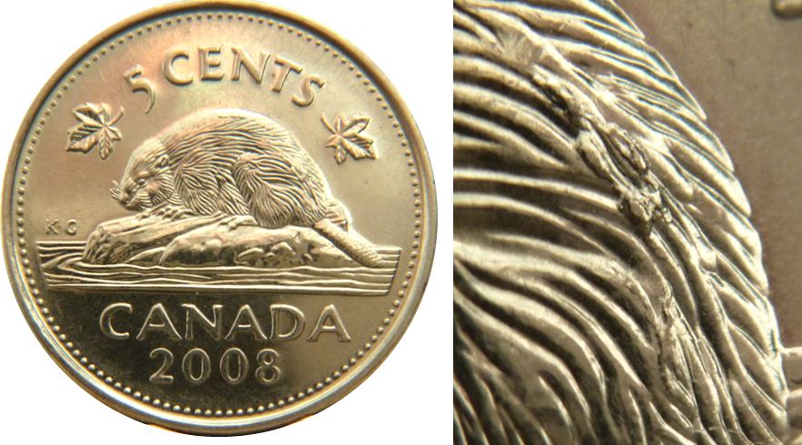 5 Cents 2008-Accumulation sur le castor-1.JPG
