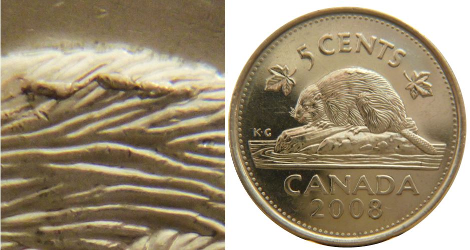 5 Cents 2008-Grosse éclat coin sur dos du castor-1.JPG