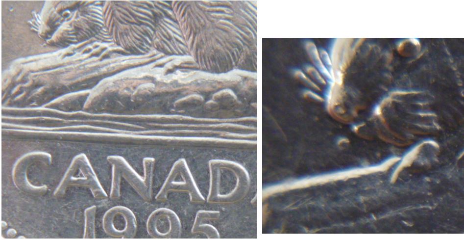 5 Cents 1995-Point devant bouche castor.JPG