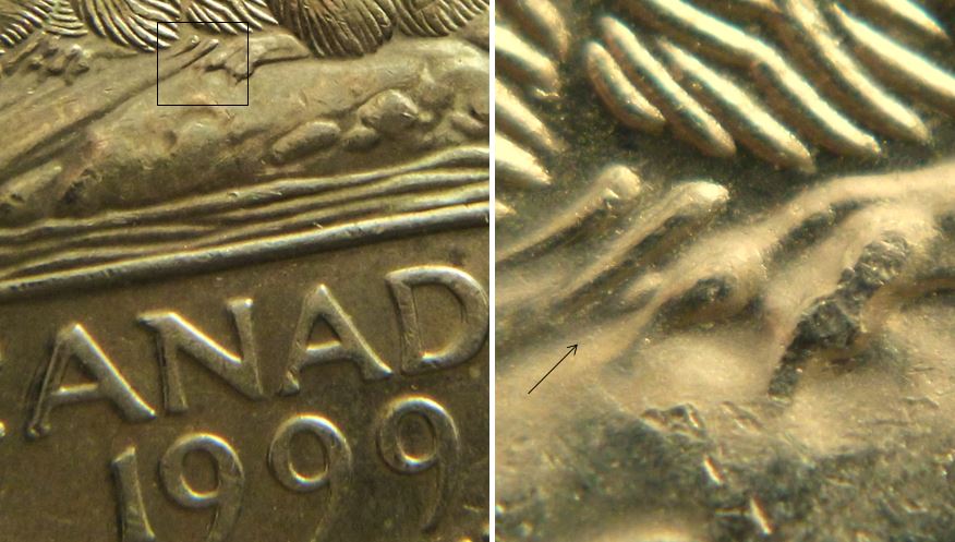 5 Cents 1999-Éclat coin patte arrière-Petite griffé extra-1.JPG