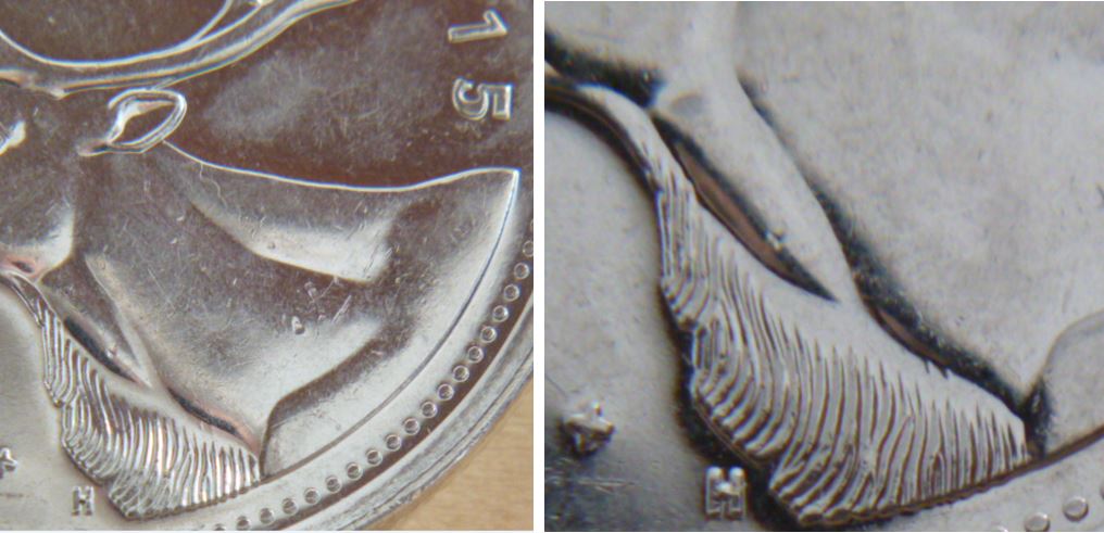 25 Cents 2015- Polissage excésif- cou de l'élan -1.JPG