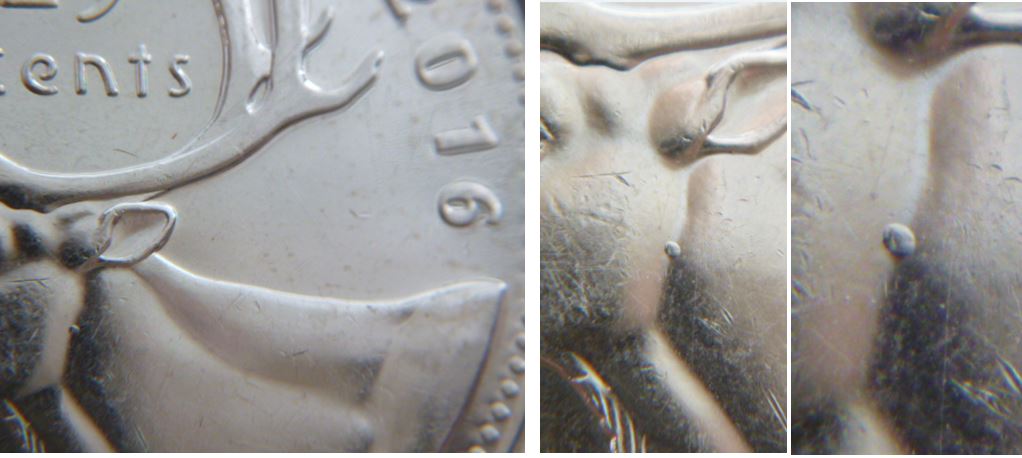 25 Cents 2016- Point dans cou de l'élan.JPG