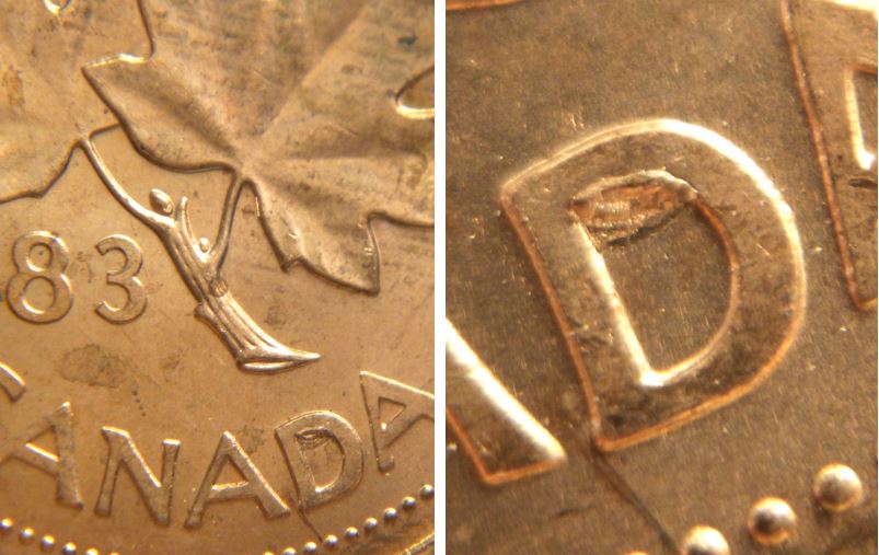 1 Cent 1983-Éclat coin dans D de canaDa-No.1.JPG