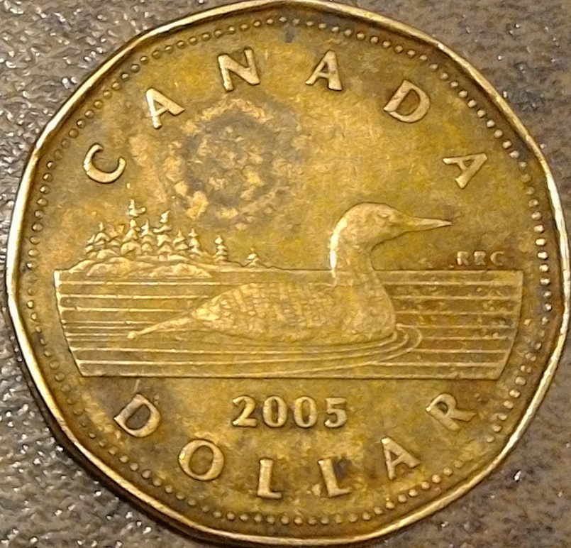 2005.jpg