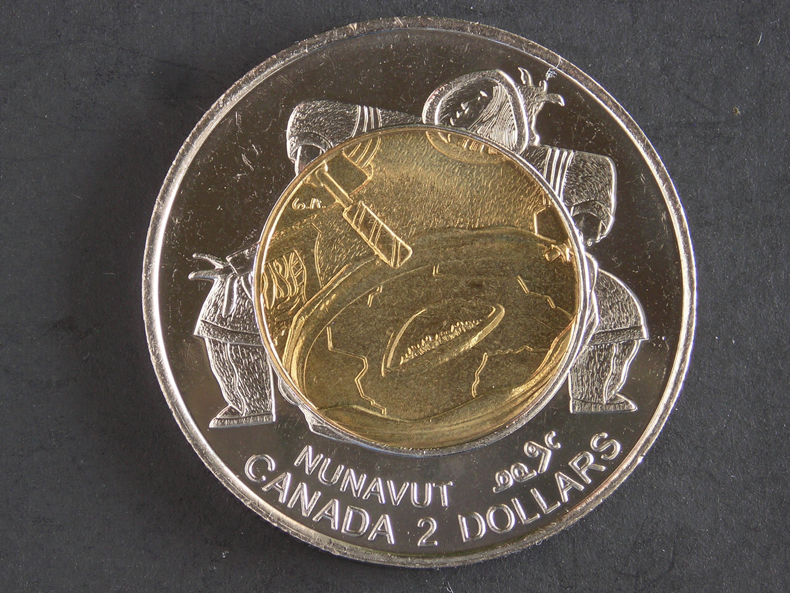 DSCN1139.JPG