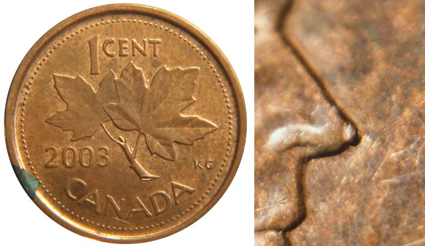 1 Cent 2003p-Éclat coin au bout du nez-1.JPG