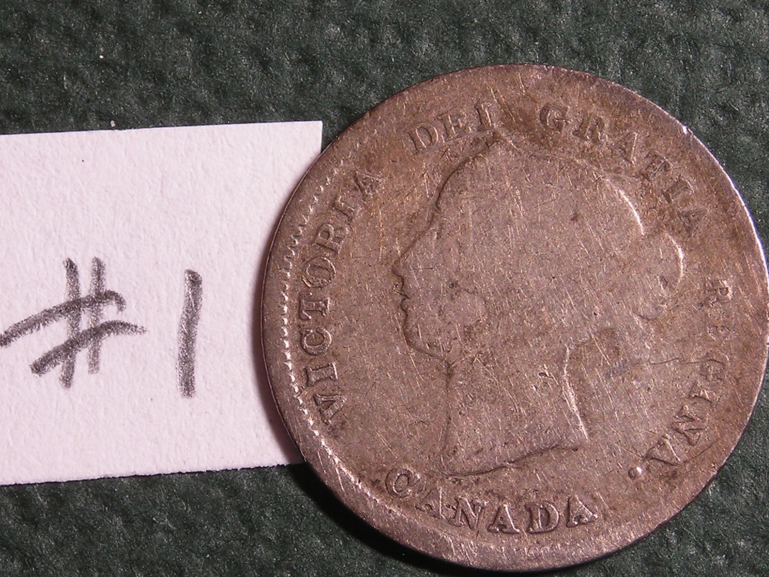 DSCN1164.JPG