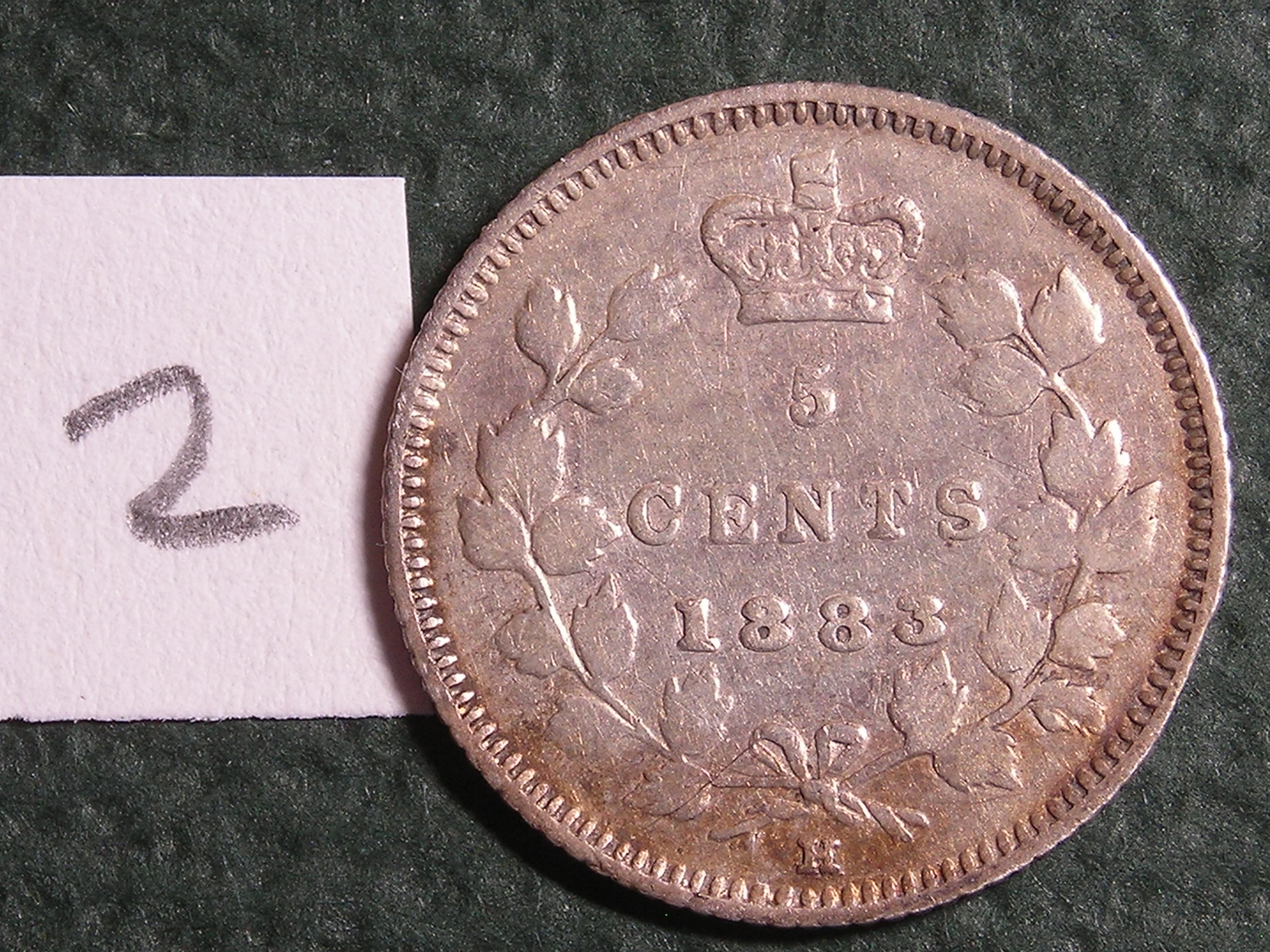 DSCN1165.JPG