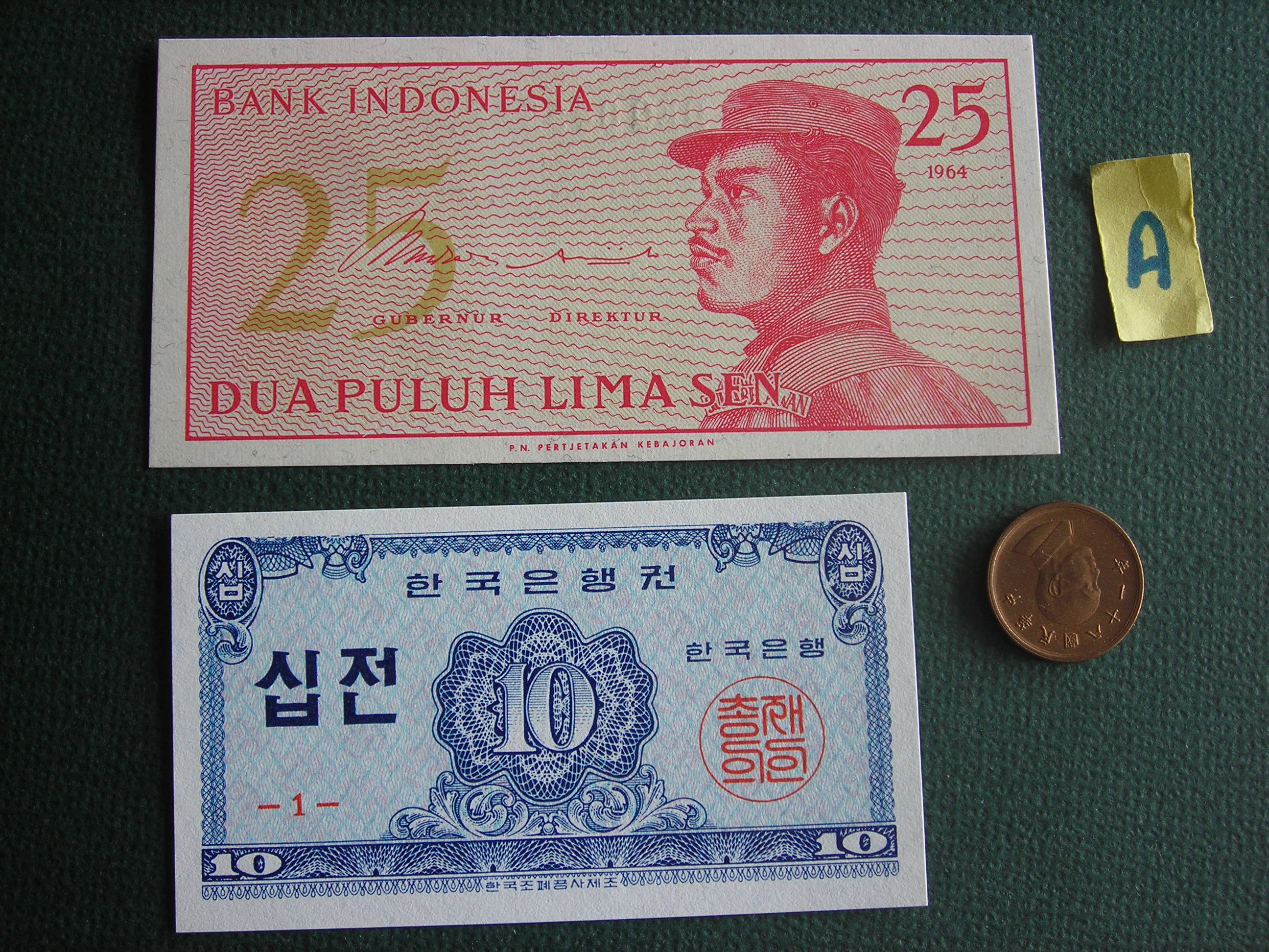 DSCN1195.JPG