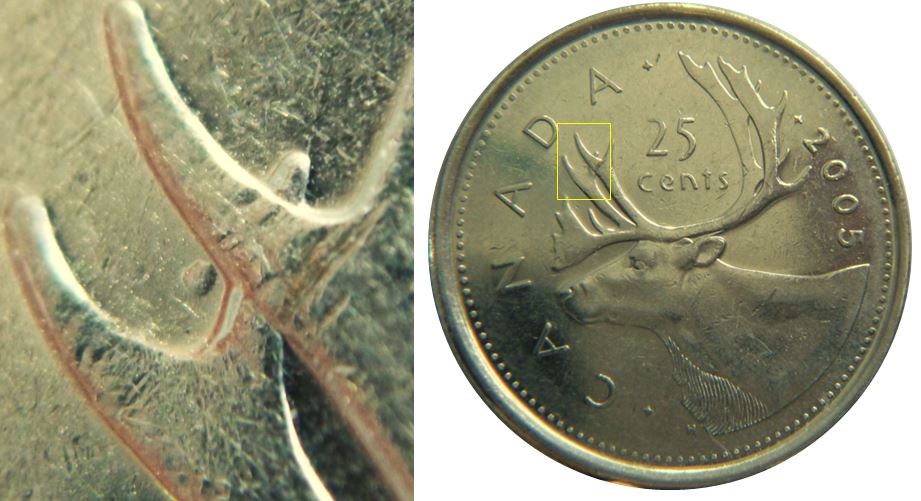 25 Cents 2005-Point entre les bois avent-1.JPG