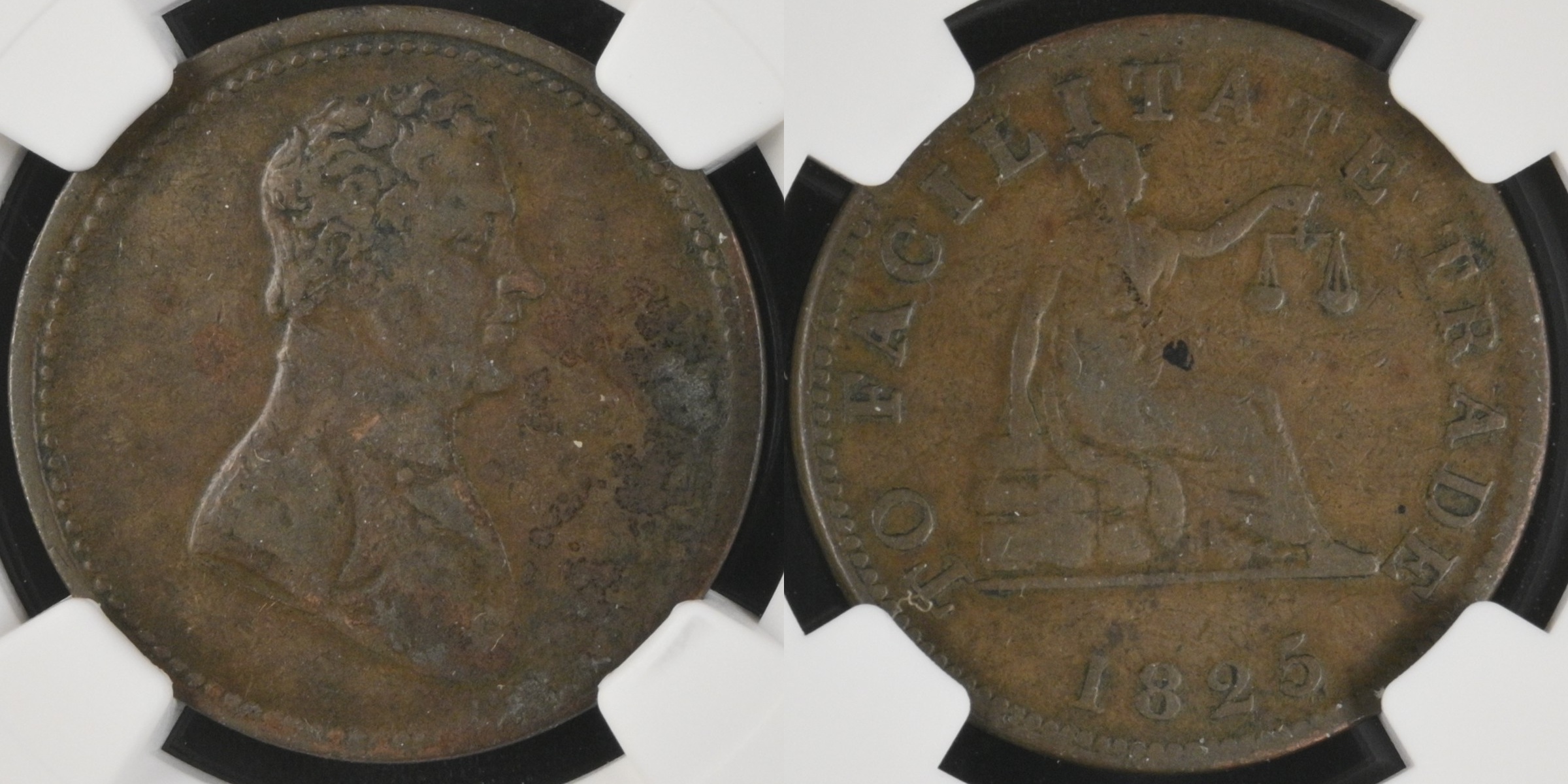 Numi - NGC.jpg