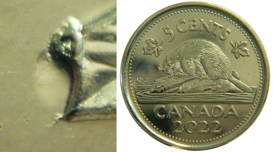 5 Cents 2022-Éclat coin feuille gauche-No.1,.JPG